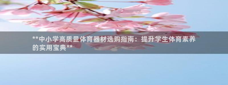 星奥娱乐集团股份有限公司招聘：**中小学高质量体育器