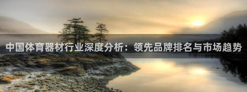 星奥娱乐招聘：中国体育器材行业深度分析：领先品牌排名