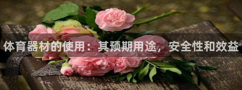 星奥娱乐集团股份有限公司招聘：体育器材的使用：其预期