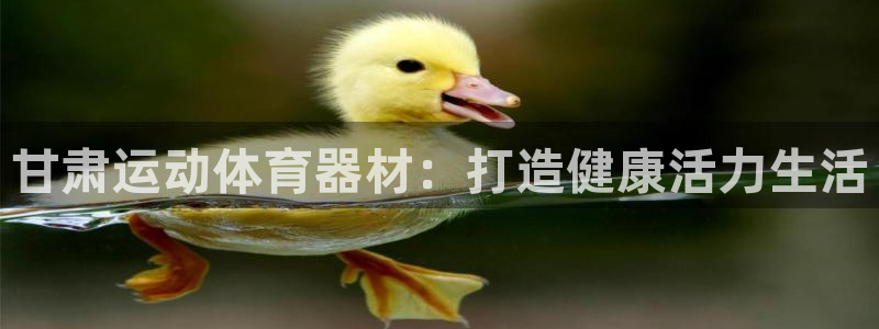 星欧娱乐平台怎么样知乎赚钱吗：甘肃运动体育器材：打造