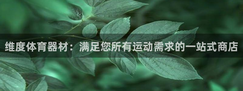 星欧娱乐平台怎么样啊知乎：维度体育器材：满足您所有运