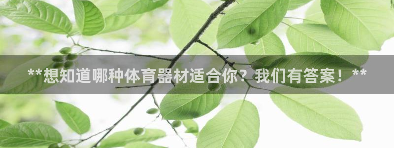 星欧娱乐挂机教程：**想知道哪种体育器材适合你？我们