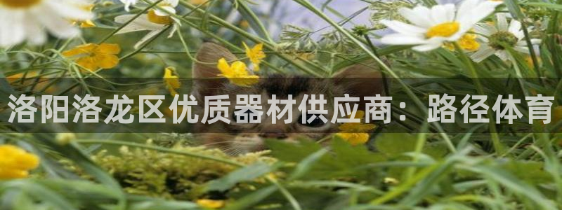 星欧娱乐app最新版本更新内容：洛阳洛龙区优质器材供