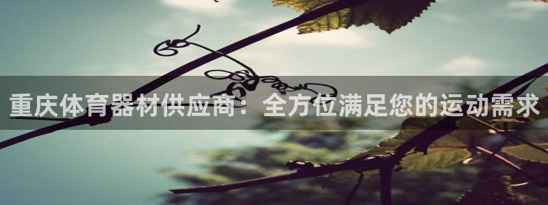 星欧娱乐最建议买的三个产品是什么呢：重庆体育器材供应