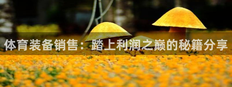 江苏星奥娱乐有限公司怎么样：体育装备销售：踏上利润之