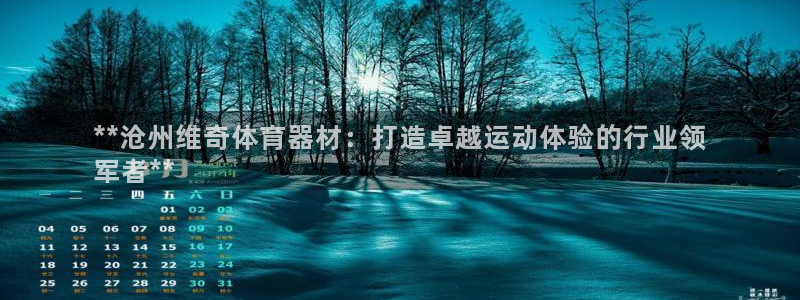 星澳娱乐公司怎么样：**沧州维奇体育器材：打造卓越运