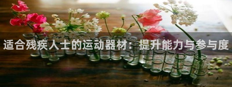 星奥娱乐集团官网：适合残疾人士的运动器材：提升能力与