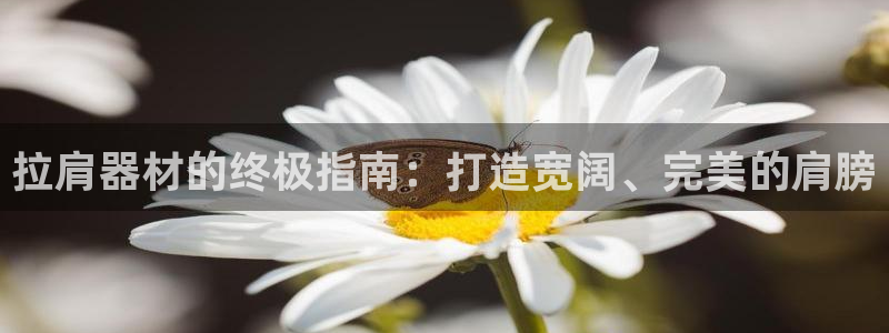 星欧娱乐雀V是什么平台：拉肩器材的终极指南：打造宽阔