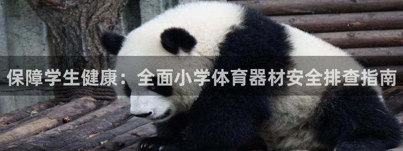 星奥娱乐集团股份有限公司怎么样：保障学生健康：全面小