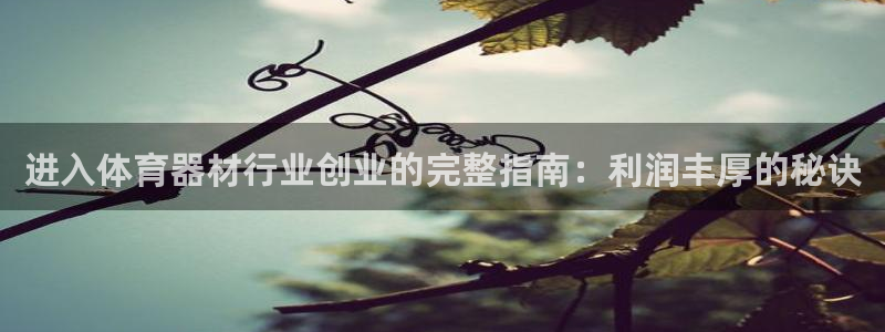 星娱乐文化传媒：进入体育器材行业创业的完整指南：利润