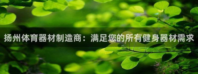 星欧娱乐最建议买的三个产品是什么意思：扬州体育器材制