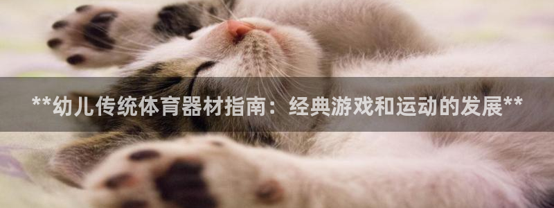 星欧娱乐最建议买的三个产品有哪些：**幼儿传统体育器