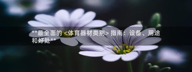 星欧娱乐的创始人背景故事：**最全面的 <体育器材类