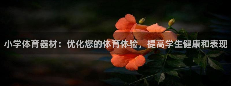 星欧娱乐联最新新闻：小学体育器材：优化您的体育体验，