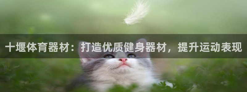 星欧娱乐平台测速线路怎么设置：十堰体育器材：打造优质