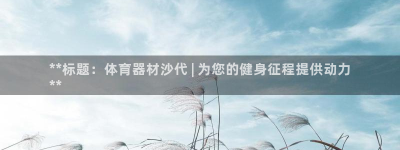 江苏星奥娱乐：**标题：体育器材沙代 | 为您的健身