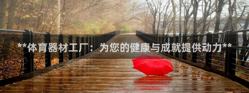 星欧娱乐最建议买的三个产品：**体育器材工厂：为您的