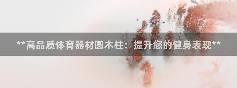 星欧娱乐的创始人背景故事：**高品质体育器材圆木柱：