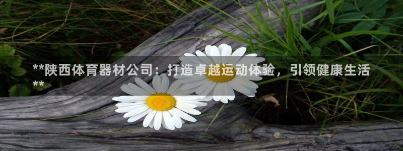 星欧娱乐平台测速线路：**陕西体育器材公司：打造卓越