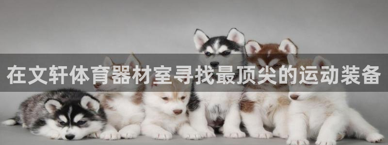 星欧娱乐扣款时间查询方法怎么查不到：在文轩体育器材室