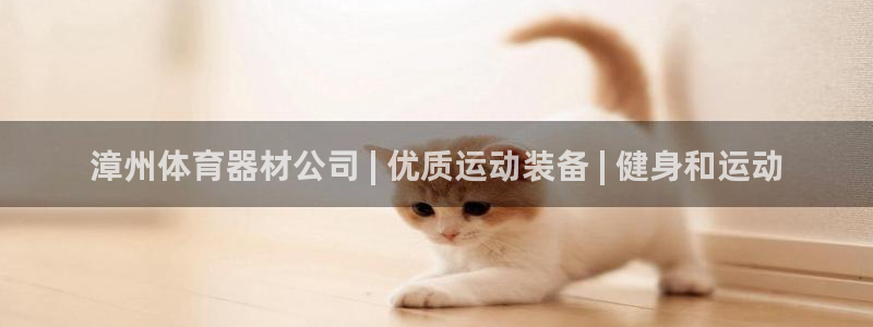 星娱乐文化传媒有限公司：漳州体育器材公司 | 优质运