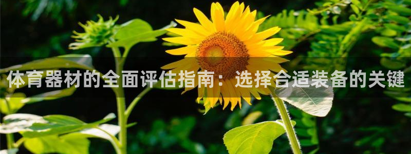 星欧娱乐官网首页入口：体育器材的全面评估指南：选择合
