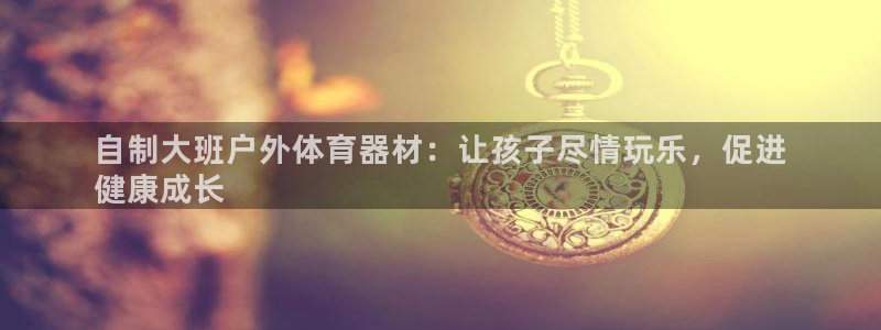 欧亿测速娱乐：自制大班户外体育器材：让孩子尽情玩乐，