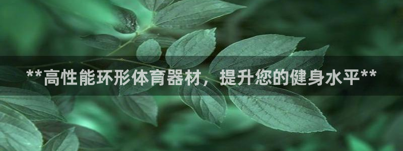 星奥娱乐集团怎么样：**高性能环形体育器材，提升您的