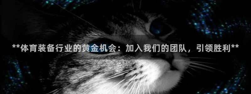 星娱乐online创作的原声胡歌吴磊：**体育装备行