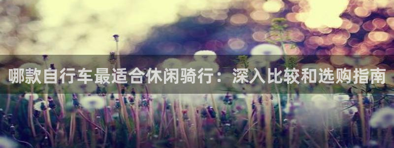 星欧娱乐官方客服联系方式是什么：哪款自行车最适合休闲