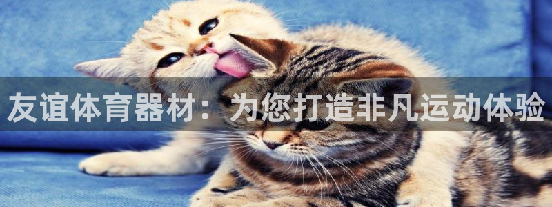 星欧娱乐方7O777：友谊体育器材：为您打造非凡运动