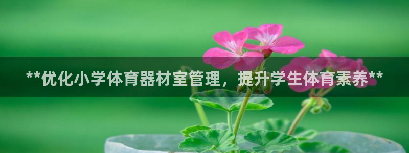 星奥娱乐集团官网：**优化小学体育器材室管理，提升学