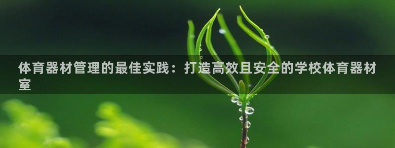 星欧娱乐工711.112怎么没有了：体育器材管理的最