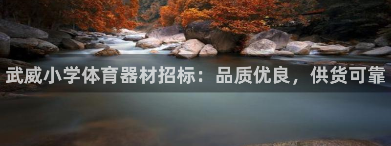 星欧娱乐挂机：武威小学体育器材招标：品质优良，供货可