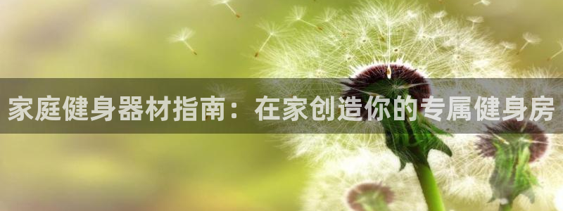 星欧娱乐属于什么档次：家庭健身器材指南：在家创造你的