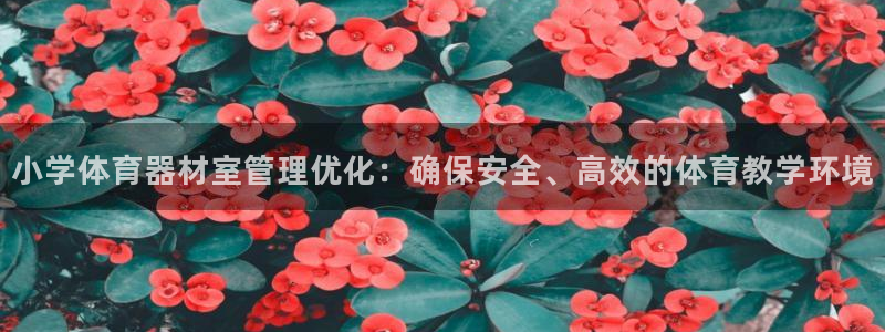 澳星国际娱乐集团：小学体育器材室管理优化：确保安全、