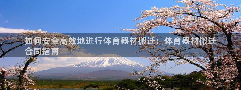星欧娱乐扣款流程详解图高清：如何安全高效地进行体育器