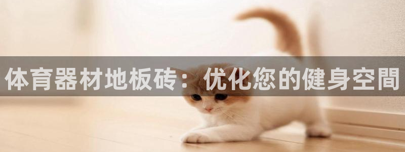 星欧娱乐平台怎么样知乎：体育器材地板砖：优化您的健身