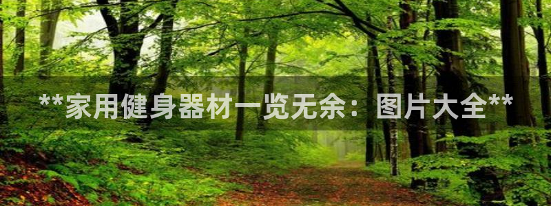 星欧娱乐挂机：**家用健身器材一览无余：图片大全**