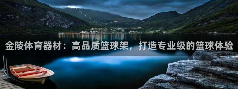 星欧娱乐联和哪个品牌合作：金陵体育器材：高品质篮球架