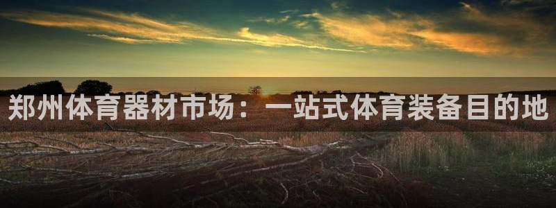 星奥娱乐艺人：郑州体育器材市场：一站式体育装备目的地