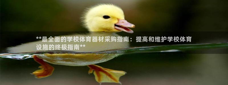 星欧娱乐属于什么档次的软件：**最全面的学校体育器材