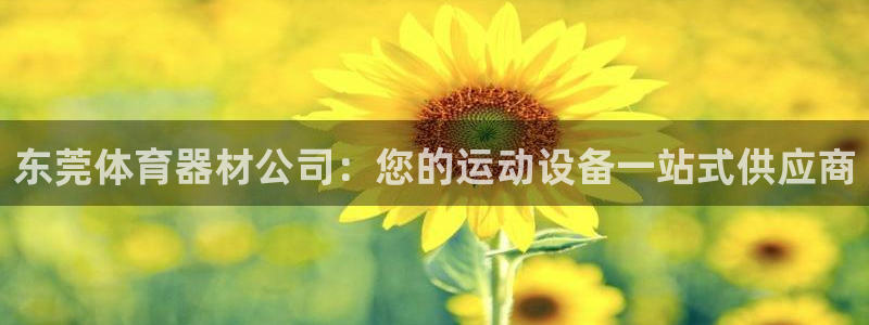 星欧娱乐属于什么档次的公司：东莞体育器材公司：您的运