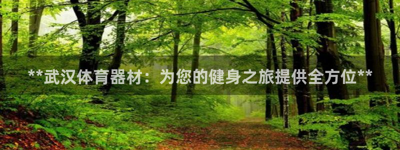 星欧娱乐公司创始人背景故事简介：**武汉体育器材：为