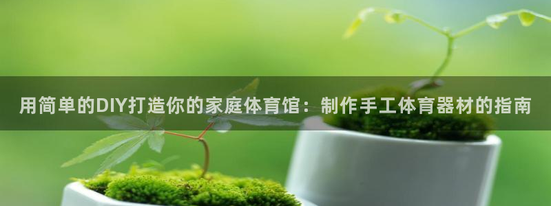 星欧娱乐是什么品牌：用简单的DIY打造你的家庭体育馆