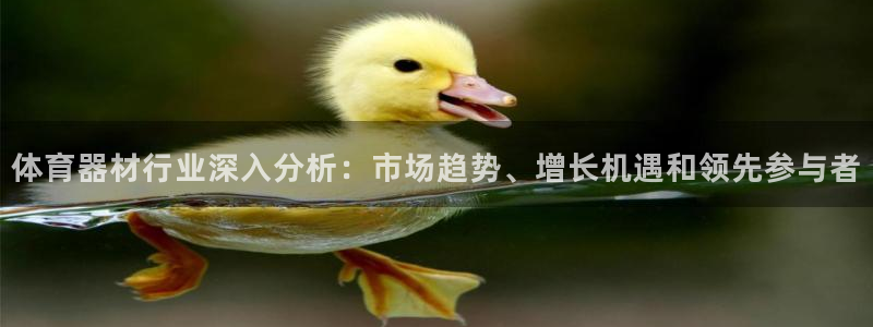 星娱乐online张译：体育器材行业深入分析：市场趋