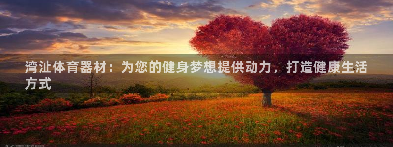 星欧娱乐联客服联系方式：湾沚体育器材：为您的健身梦想