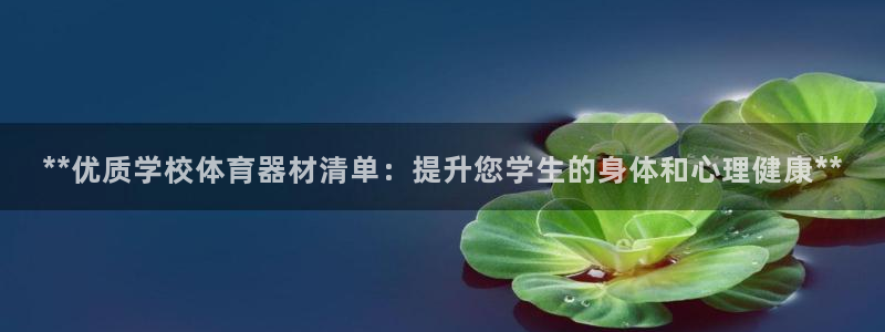 星欧娱乐扣费处理方法：**优质学校体育器材清单：提升