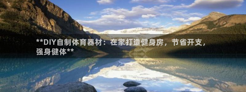 星欧娱乐退款流程详解：**DIY自制体育器材：在家打
