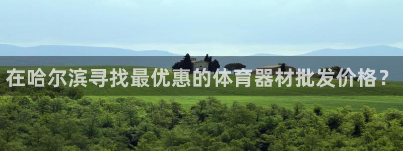 星欧娱乐最建议买的三个游戏账号：在哈尔滨寻找最优惠的